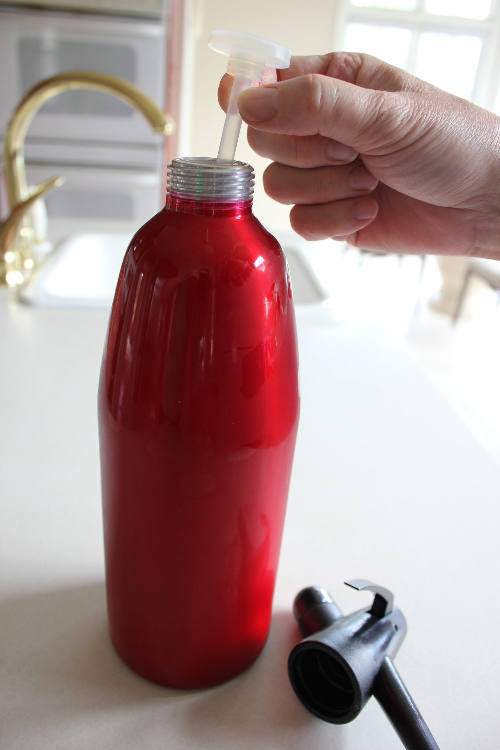 Sparkling Juice Recipe Soda Siphon Recipes Whipeez